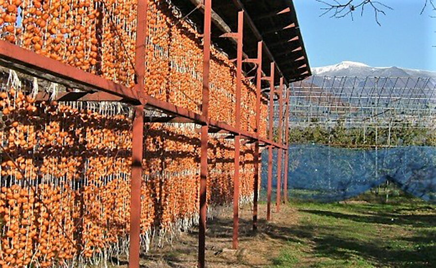 【ふるさと納税】 干し柿 ( たねなしつるし ) 32個 2L サイズ 和菓子 山形県 上山市 0040-2505 サムネイル3