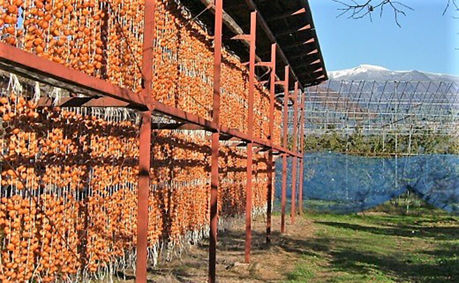 【ふるさと納税】 干し柿 ( 紅つるし ) 32個 Lサイズ 和菓子 山形県 上山市 0040-2506 サムネイル2