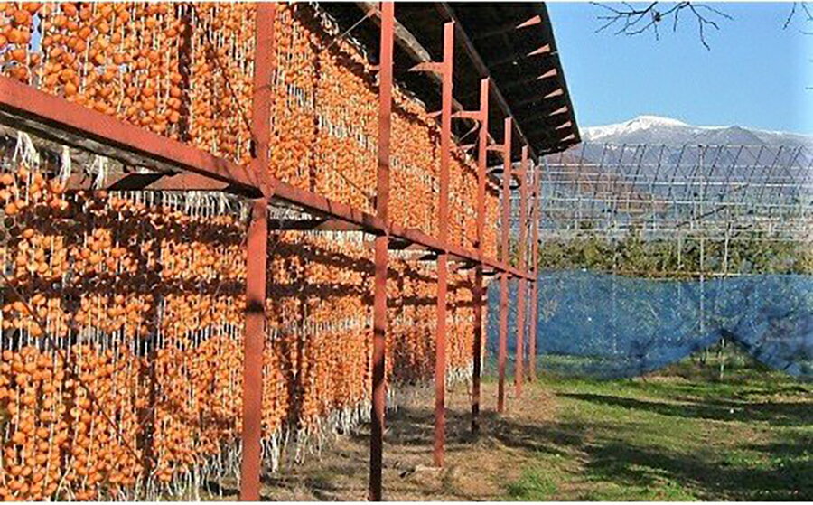 【ふるさと納税】 干し柿 ( 紅つるし ) 32個 2Lサイズ 和菓子 山形県 上山市 0040-2507 サムネイル2