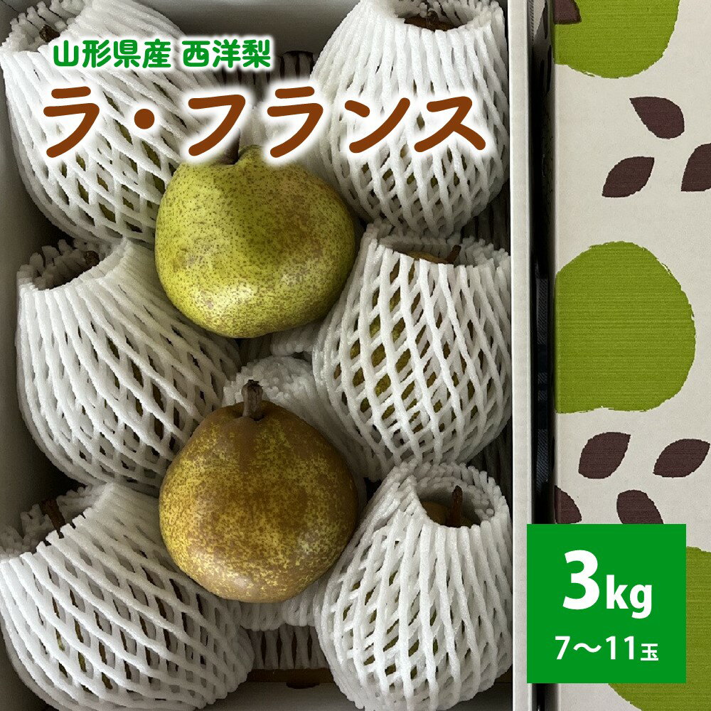 西洋梨（ラ・フランス）3kg ご家庭用 山形県 上山市 0041-2502