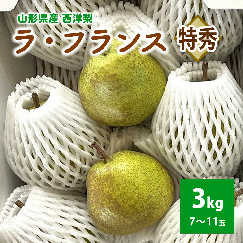 西洋梨 （ ラ・フランス ） 3kg 贈答用 山形県 上山市 0041-2503