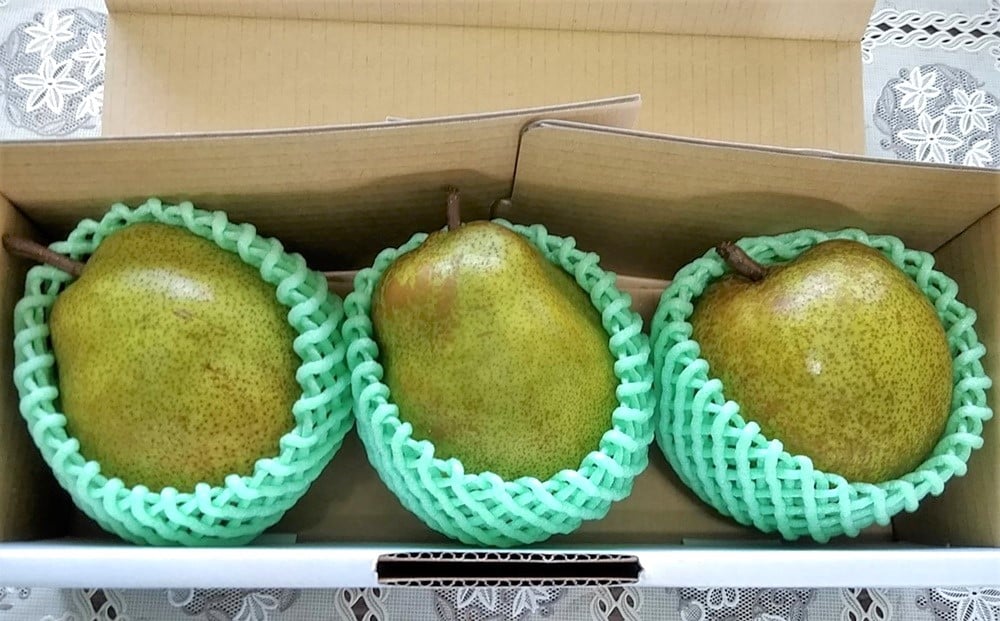 【ふるさと納税】西洋梨（ラ・フランス）特大（5～6L）3玉 特秀品 洋なし 果物 フルーツ 贈り物 ギフト 山形県 上山市 0042-2513 サムネイル2