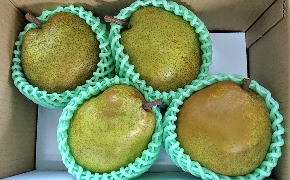 【ふるさと納税】西洋梨 ( ラ・フランス ) 2kg 4玉 ご家庭用 洋なし 果物 フルーツ 山形県 上山市 0042-2511 サムネイル2