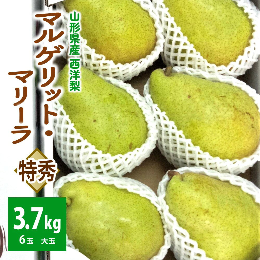 西洋梨（マルゲリット・マリーラ）3.7kg 6玉 大玉 特秀品 フルーツ 果物 山形県 上山市 0042-2603