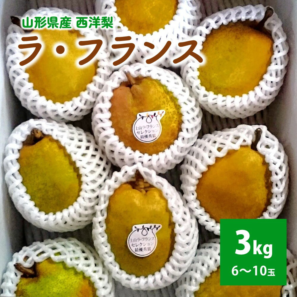 【農園直送！】西洋梨（ラ・フランス）3kg ご家庭用 フルーツ 山形県 上山市 0044-2504