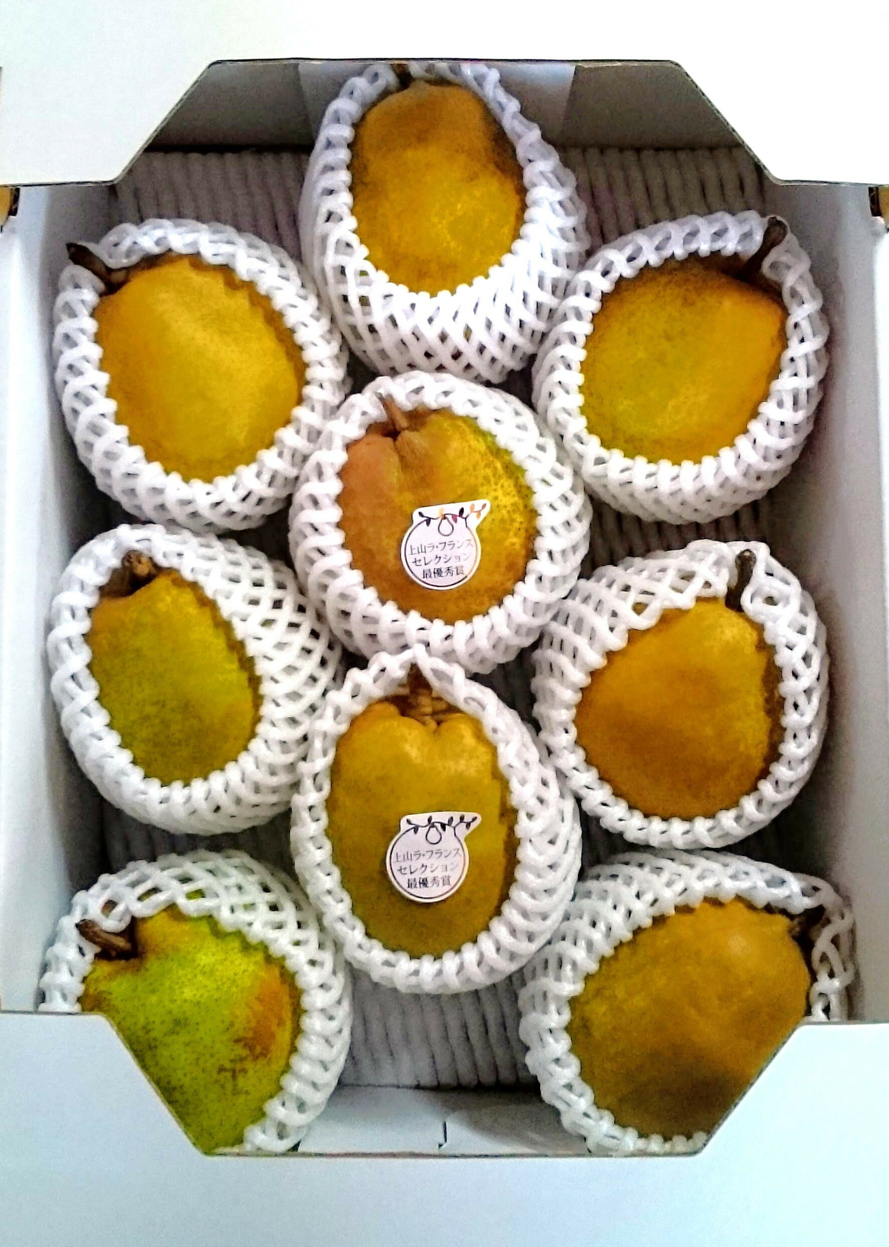 【ふるさと納税】【農園直送！】西洋梨（ラ・フランス）3kg ご家庭用 フルーツ 山形県 上山市 0044-2504 サムネイル2