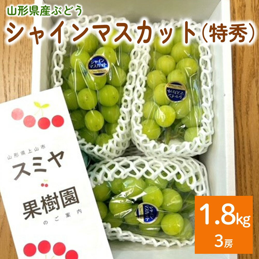 シャインマスカット 3房 合計 1.8kg 特秀品 ・ 化粧箱入り 果物 フルーツ 種なし ぶどう お取り寄せ 産地直送 送料無料 山形県 上山市 0047-2510