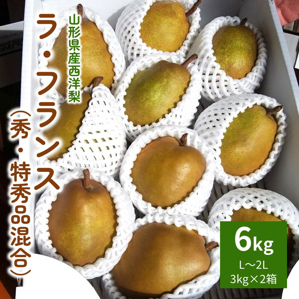 西洋梨 ( ラ・フランス ) 6kg ( 3kg × 2箱 ) 果物 フルーツ 洋梨 お取り寄せ 産地直送 送料無料 山形県 上山市 0050-2501