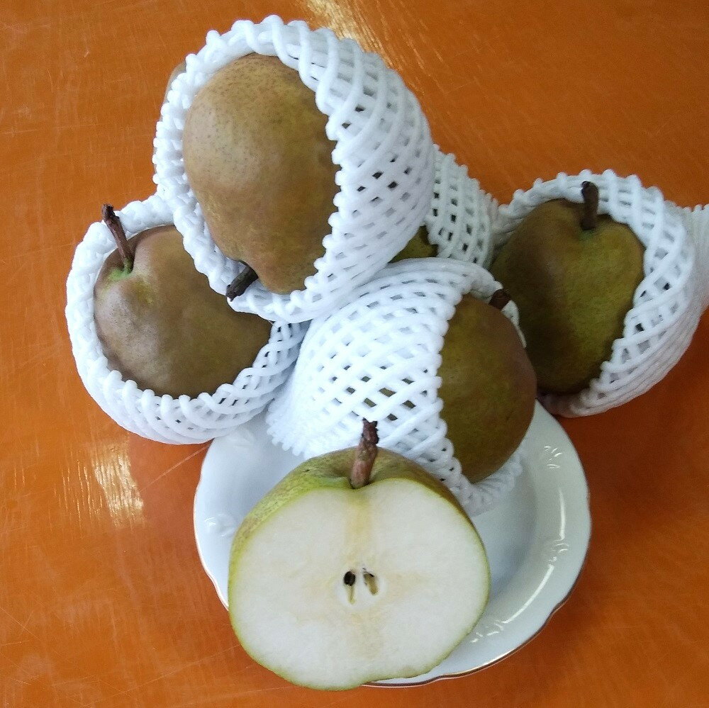 【ふるさと納税】西洋梨 ( ラ・フランス ) 6kg ( 3kg × 2箱 ) 果物 フルーツ 洋梨 お取り寄せ 産地直送 送料無料 山形県 上山市 0050-2501 サムネイル3