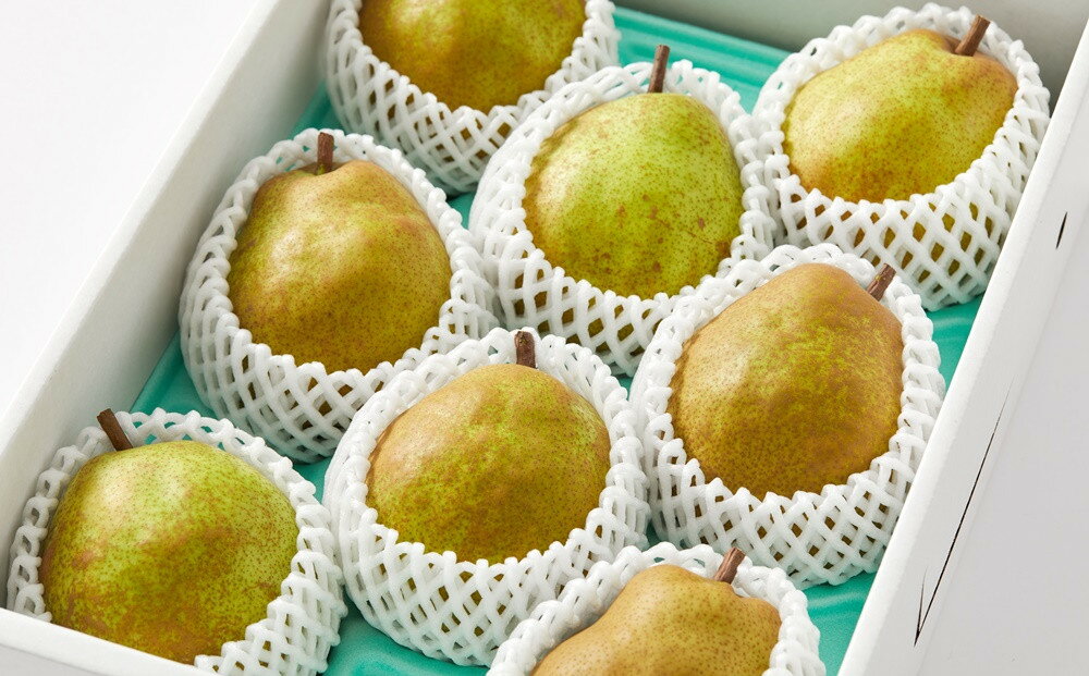 【ふるさと納税】 西洋梨（ ラ・フランス ） 3kg 秀品 フルーツ 果物 ラフランス 洋なし 洋ナシ 洋梨 産地直送 お取り寄せ 送料無料 東北 山形 上山市 0052-2507 サムネイル2