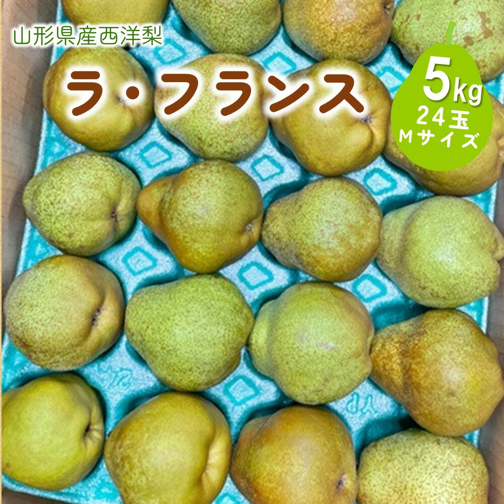 西洋梨 （ ラ・フランス ） 5kg Mサイズ ご家庭用 24玉 フルーツ 果物 傷 不揃い 山形県産 ラフランス 洋梨 お取り寄せ グルメ 産地直送 送料無料 山形県 上山市 0055-2514