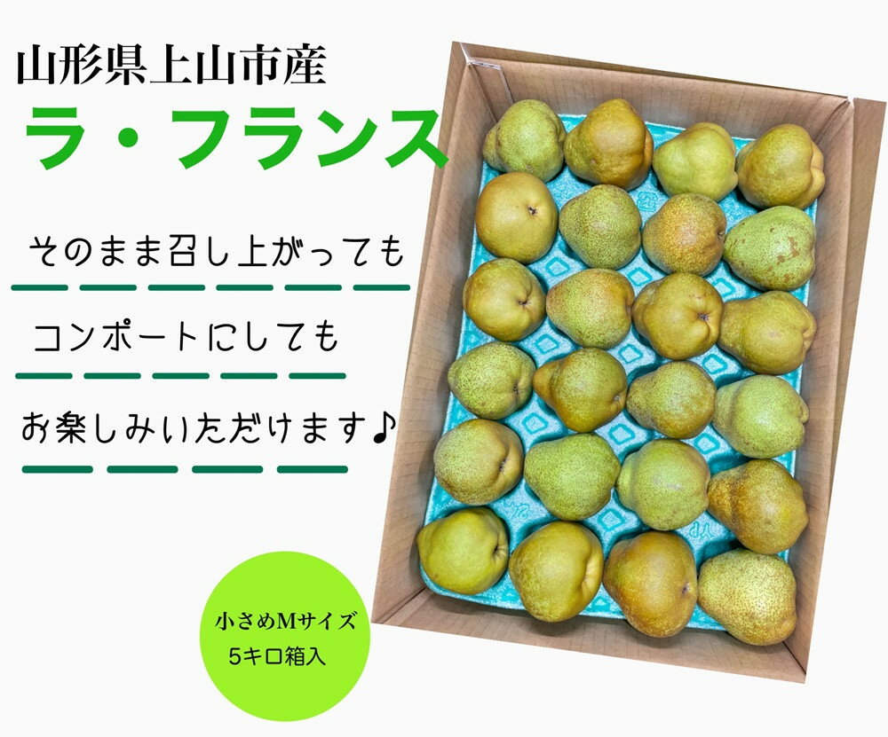 【ふるさと納税】 西洋梨 （ ラ・フランス ） 5kg Mサイズ ご家庭用 24玉 フルーツ 果物 傷 不揃い 山形県産 ラフランス 洋梨 お取り寄せ グルメ 産地直送 送料無料 山形県 上山市 0055-2514 サムネイル2
