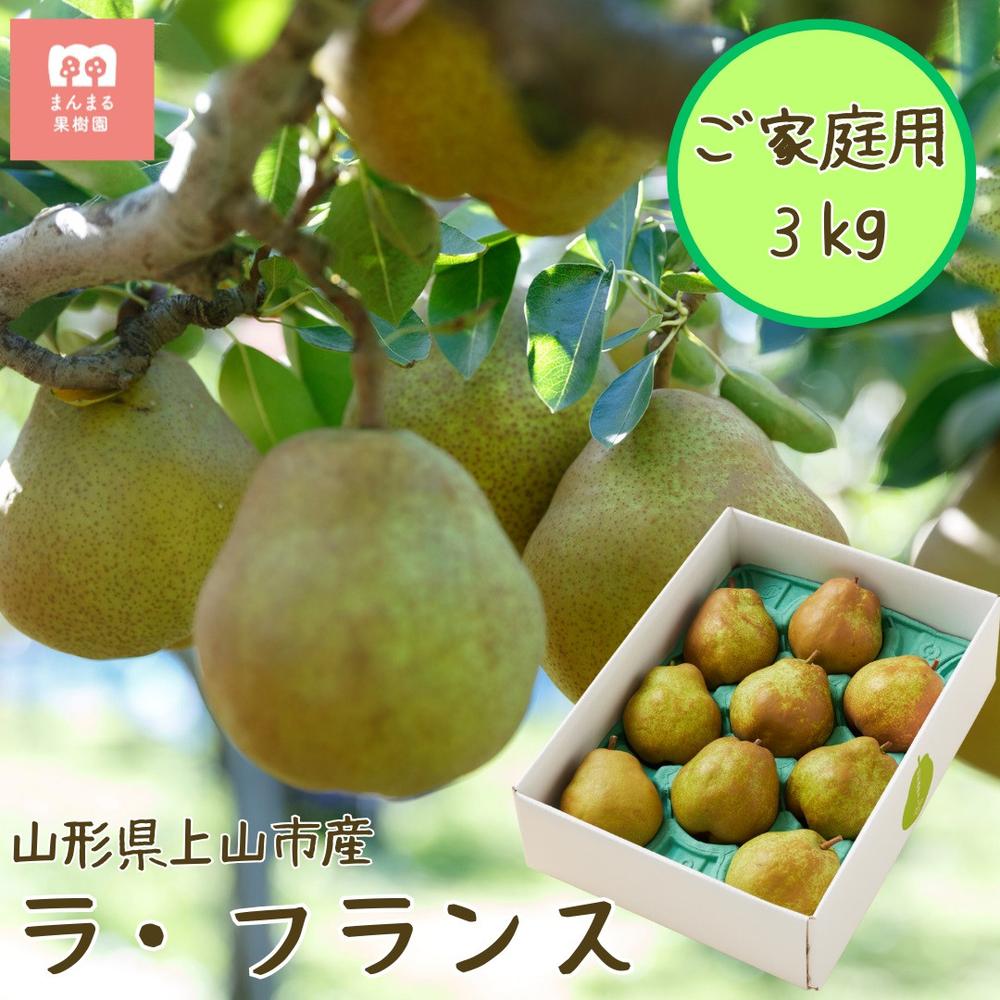 西洋梨（ ラ・フランス ）3kg ご家庭用 6玉～12玉 6L～2L サイズ お試し 先行予約 フルーツ 果物 山形県産 ラフランス 洋梨 お取り寄せ グルメ 産地直送 送料無料 山形県 上山市 0055-2513