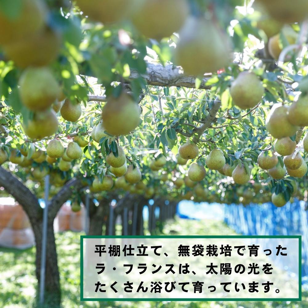 【ふるさと納税】西洋梨（ ラ・フランス ）3kg ご家庭用 6玉～12玉 6L～2L サイズ お試し 先行予約 フルーツ 果物 山形県産 ラフランス 洋梨 お取り寄せ グルメ 産地直送 送料無料 山形県 上山市 0055-2513 サムネイル3