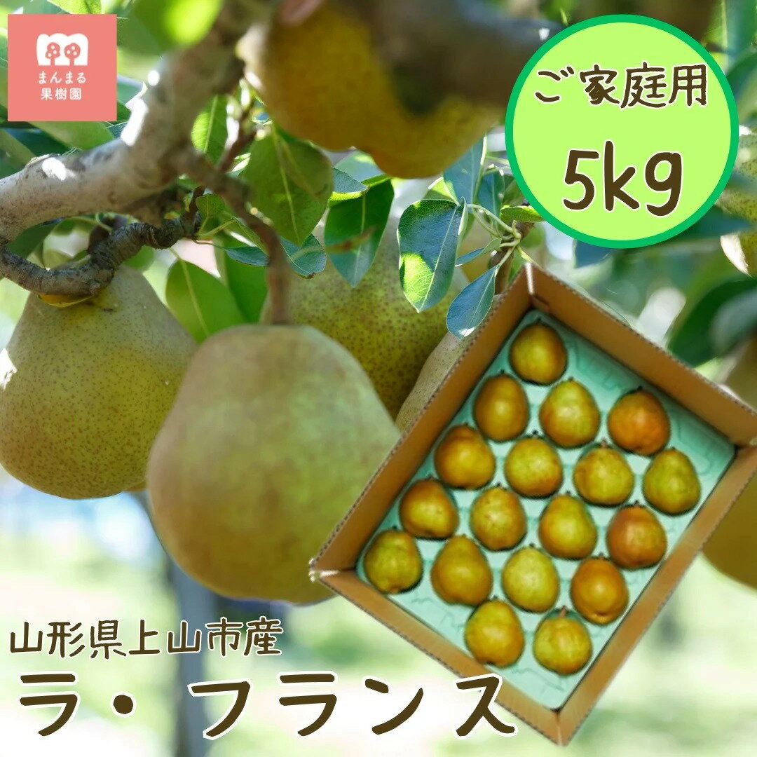 西洋梨（ ラ・フランス ）5kg ご家庭用 フルーツ 果物 山形県産 ラフランス 洋梨 お取り寄せ グルメ 産地直送 送料無料 山形県 上山市 0055-2515