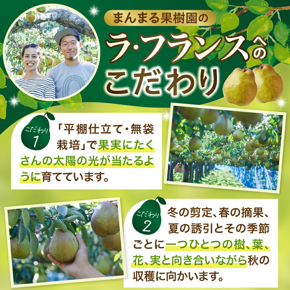 【ふるさと納税】西洋梨 （ ラ・フランス ） 3kg 大玉 特秀品 贈答用 フルーツ 果物 洋なし 山形 産地直送 送料無料 お取り寄せ 山形県 上山市 0055-2516 サムネイル3