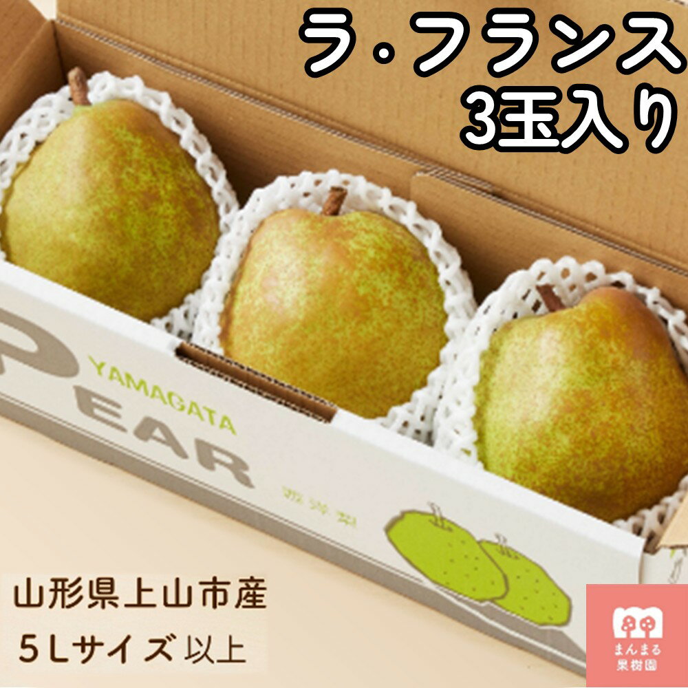 西洋梨（ ラ・フランス ）3玉 大玉 特秀品 5L サイズ お試し フルーツ 果物 山形県産 ラフランス 洋梨 お取り寄せ グルメ 産地直送 送料無料 山形県 上山市 0055-2518