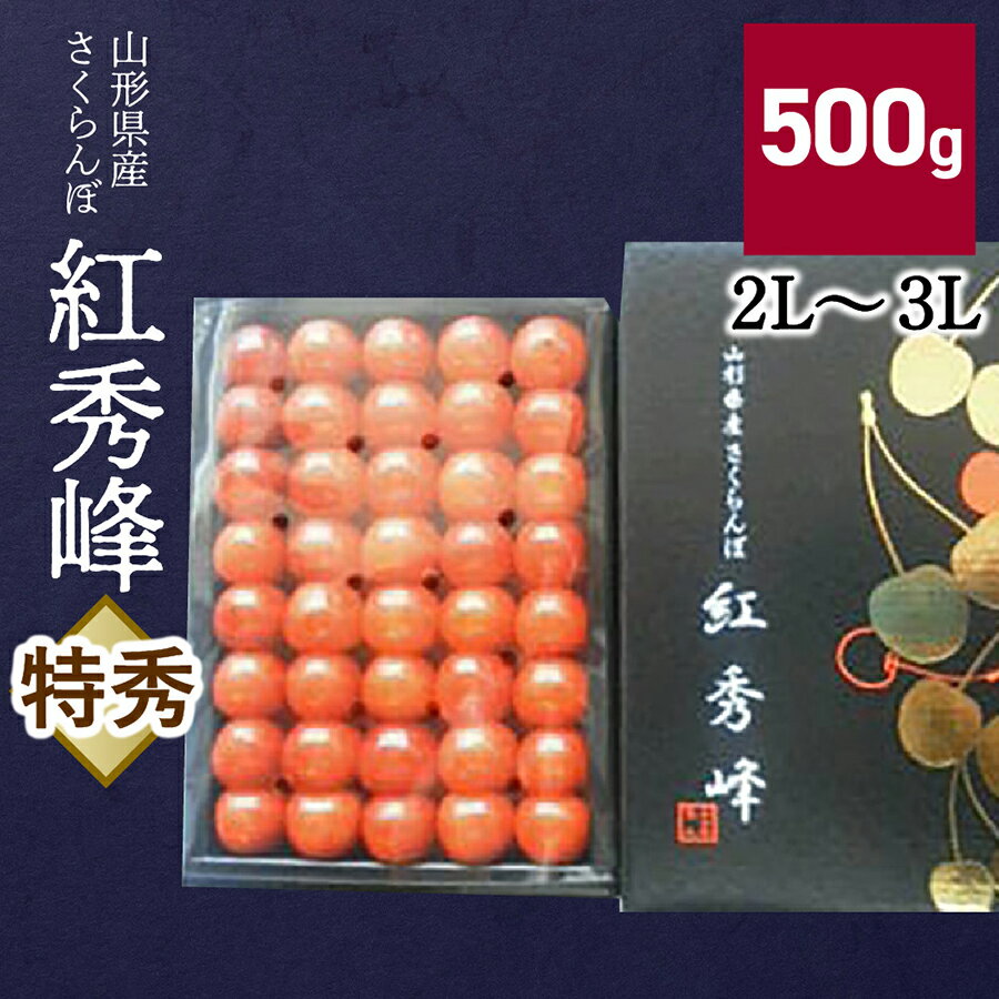 さくらんぼ 紅秀峰 500g 特秀品 2L～3Lサイズ 化粧箱入 ギフト 贈り物 贈答品 フルーツ 果物 お取り寄せグルメ 冷蔵配送 山形県 0056-2611