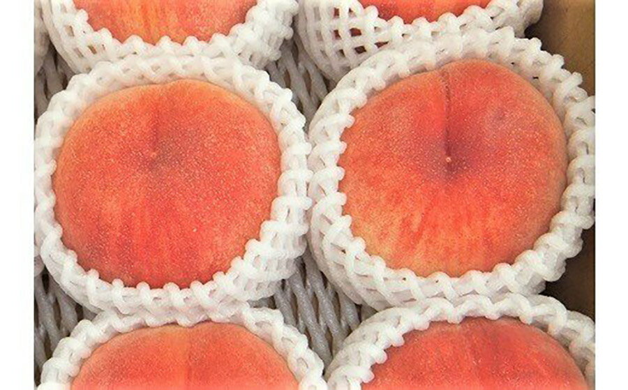 【ふるさと納税】桃（あかつき）6~11玉【3kg箱に2.7~3.3kg詰め】 山形県 上山市 0056-2614 サムネイル2