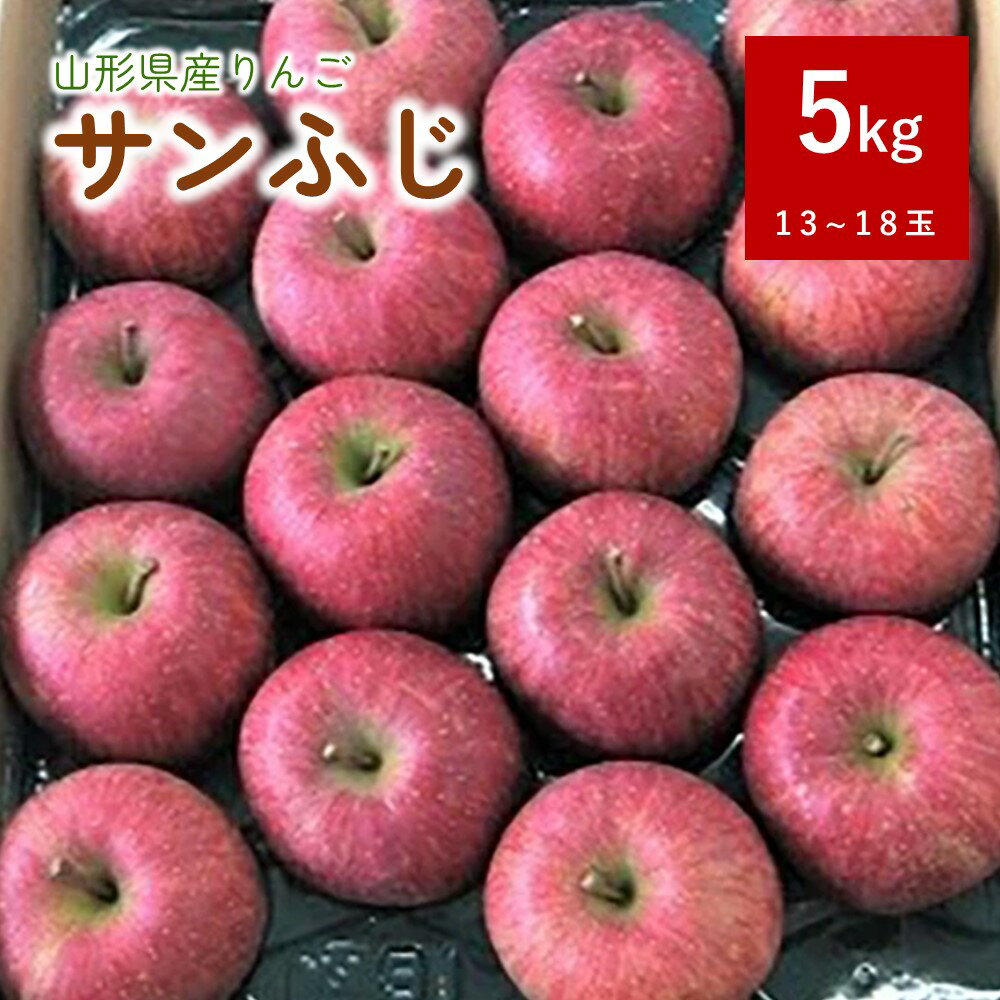 りんご ( サンふじ ) 5kg 13～18玉 1段詰め 果物 フルーツ 山形 産地直送 お取り寄せ 送料無料 山形県 上山市 0056-2520
