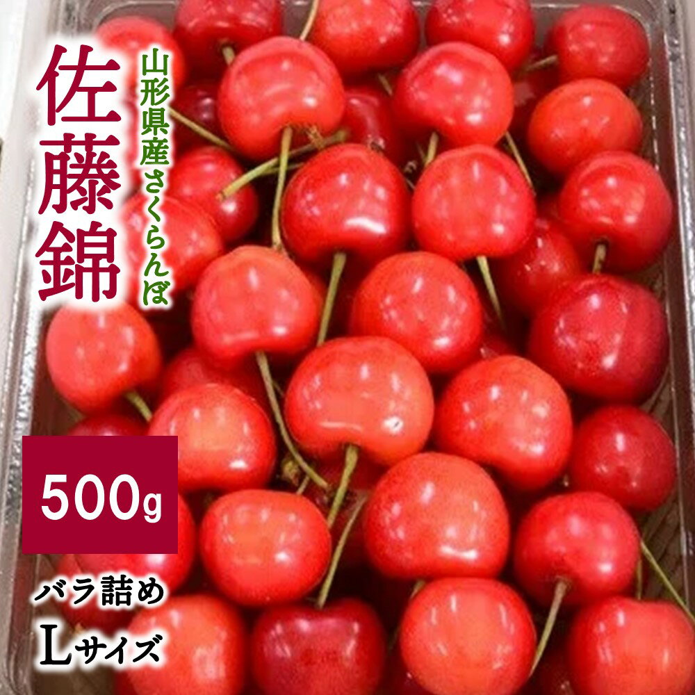 さくらんぼ ( 佐藤錦 ) 500g バラ詰め Lサイズ フルーツ 果物 送料無料 山形県 上山市 0056-2603