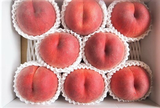 【ふるさと納税】桃 ( おどろき ) 6 ～ 11玉【 3kg 箱 に 2.7 ～ 3.3kg 詰め】秀品 白桃 硬い 果物 フルーツ デザート お取り寄せ 国産 送料無料 山形県 上山市 0056-2615 - 画像2