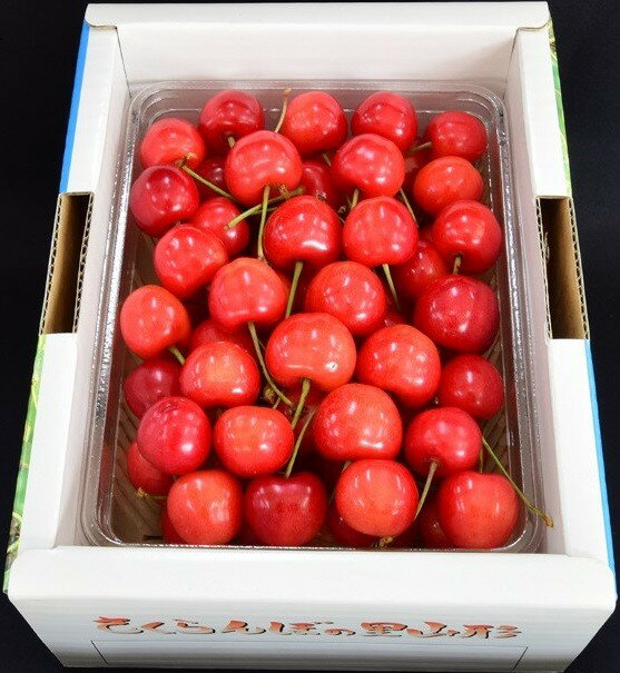 【ふるさと納税】さくらんぼ ( 佐藤錦 ) 500g バラ詰め Lサイズ フルーツ 果物 送料無料 山形県 上山市 0056-2603 サムネイル2