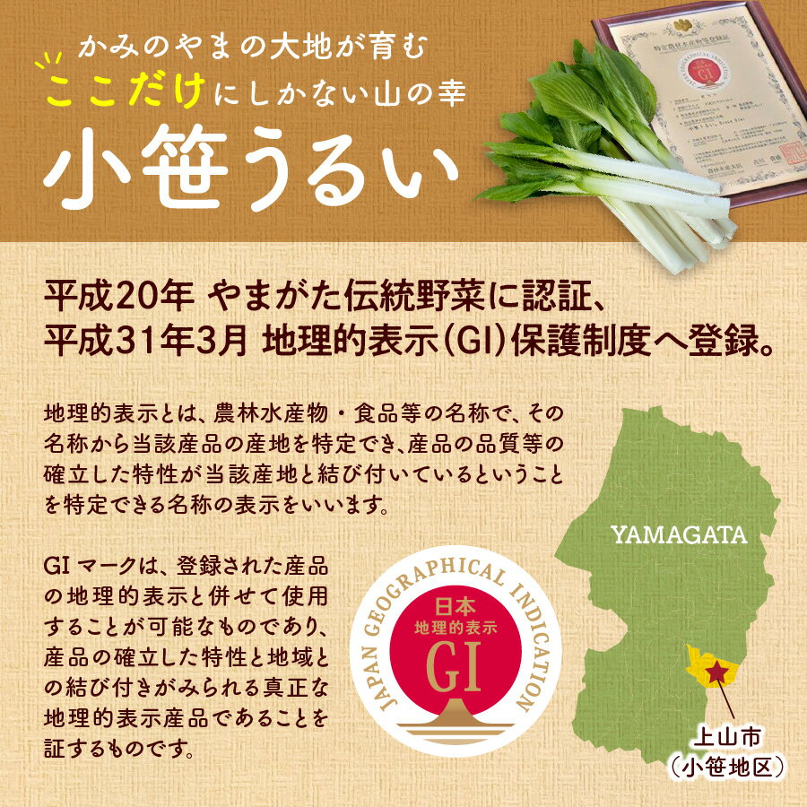 【ふるさと納税】【ここでしか選べない野菜】 GI登録 「 小笹 うるい 」( 露地栽培 ) 150g × 8袋 山菜 東北 山形県 上山市 0060-2601 - 画像2