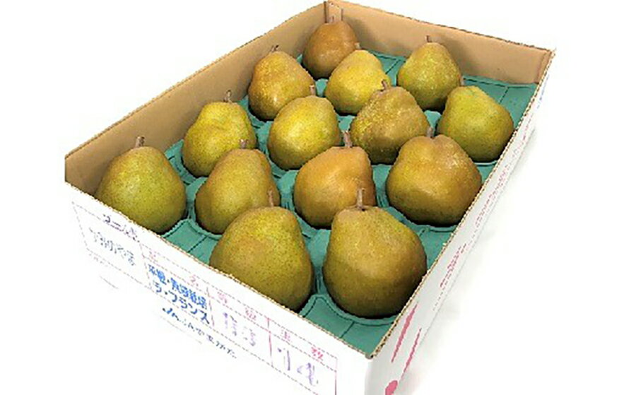 【ふるさと納税】西洋梨 ( ゴールドラ・フランス ) 5kg 12〜16玉 特秀品 ラフランス 洋なし 洋梨 フルーツ くだもの 果物 産地直送 お取り寄せ 東北 山形県 上山市 0060-2516 サムネイル3