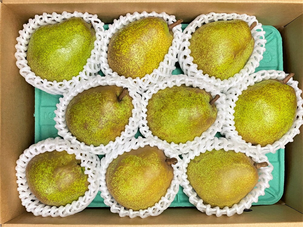 【ふるさと納税】西洋梨 ( ラ・フランス ) 3kg 8～10個 4L～2L ご家庭用 果物 フルーツ 洋梨 なし 山形県 上山市 0065-2506 サムネイル2