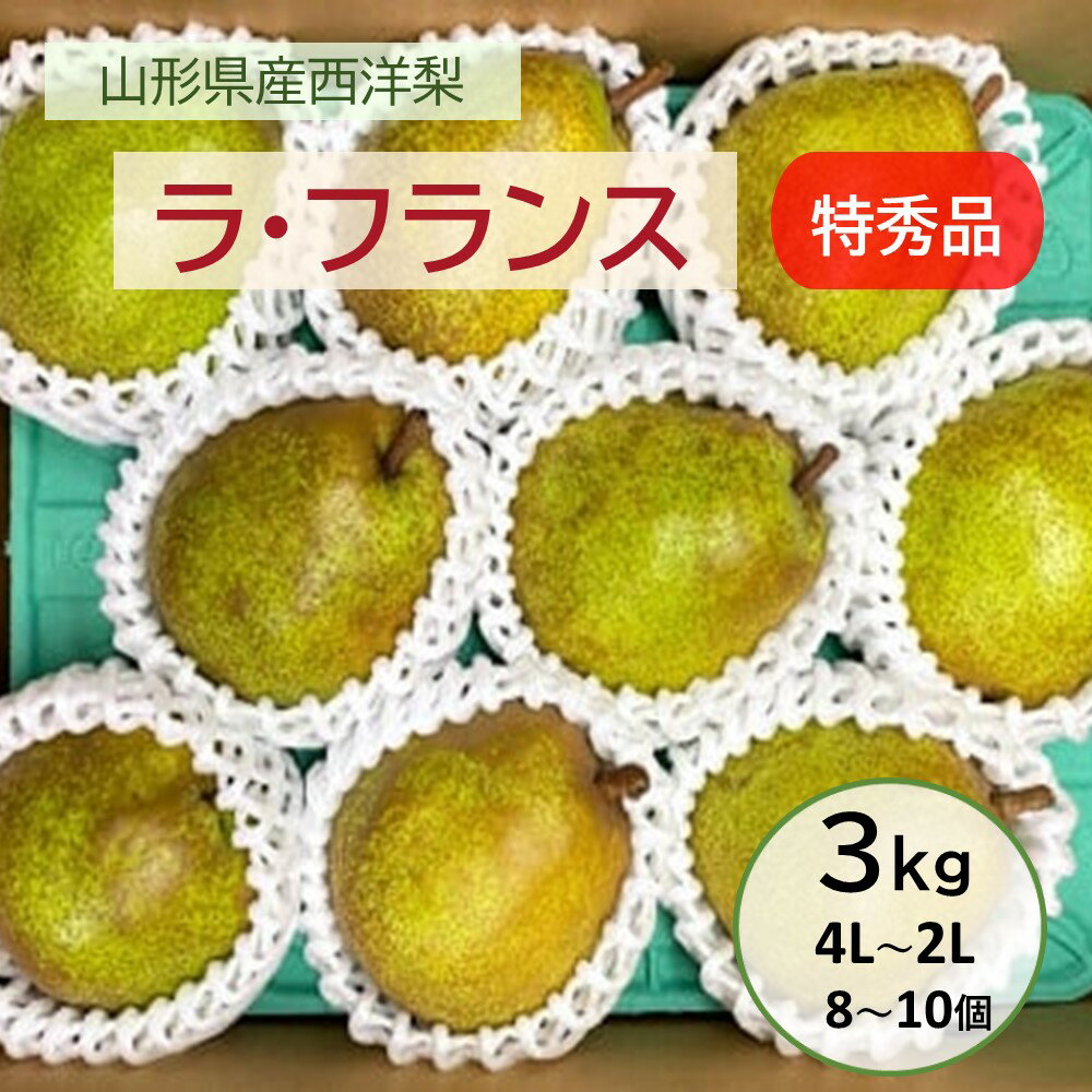 西洋梨 ( ラ・フランス ) 3kg 8～10個 4L～2L 特秀品 果物 フルーツ 洋梨 なし 山形県 上山市 0065-2508