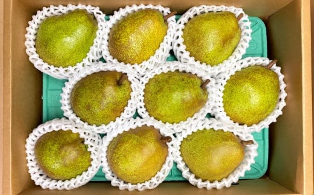 【ふるさと納税】西洋梨 ( ラ・フランス ) 3kg 8～10個 4L～2L 特秀品 果物 フルーツ 洋梨 なし 山形県 上山市 0065-2508 サムネイル2