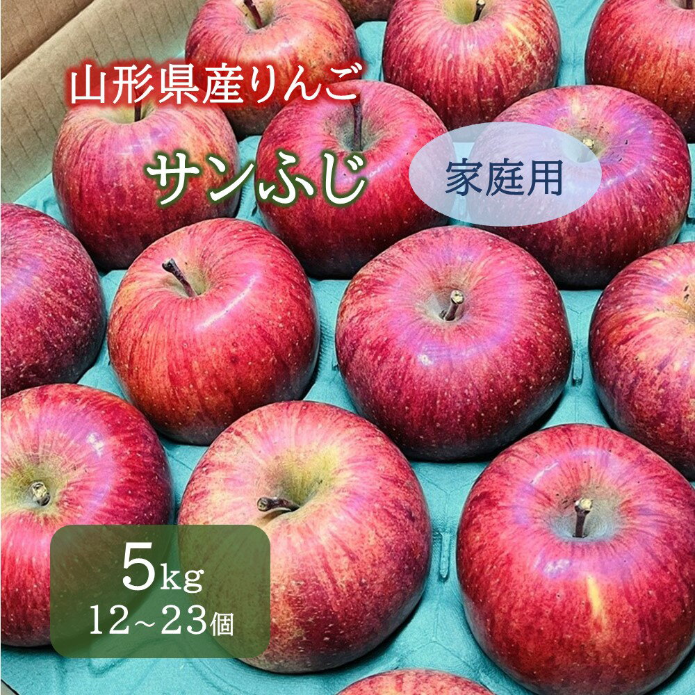 りんご ( サンふじ ) 5kg 12〜23個 ご家庭用 果物 フルーツ 産地直送 送料無料 山形県 上山市 0065-2510