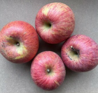 【ふるさと納税】りんご ( サンふじ ) 5kg 12〜23個 ご家庭用 果物 フルーツ 産地直送 送料無料 山形県 上山市 0065-2510 サムネイル2