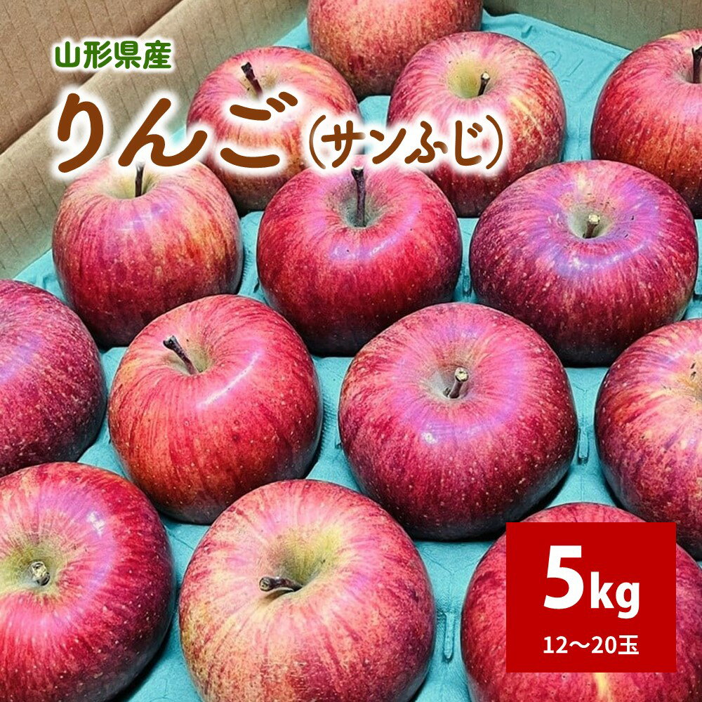 りんご ( サンふじ ) 5kg 12〜20個 秀品 果物 フルーツ 産地直送 送料無料 山形県 上山市 0065-2511