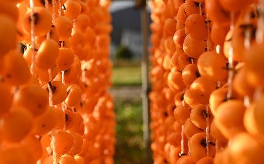 【ふるさと納税】紅干し柿 32果 Lサイズ 和菓子 ドライフルーツ 山形県 上山市 0066-2504 サムネイル2