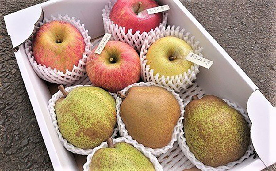 【ふるさと納税】 西洋梨 と りんご 2品種 以上の 詰合せ 3kg ご家庭用 8～10玉 果物 フルーツ 産地直送 山形 洋なし お取り寄せ 送料無料 山形県 上山市 0075-2511 サムネイル2