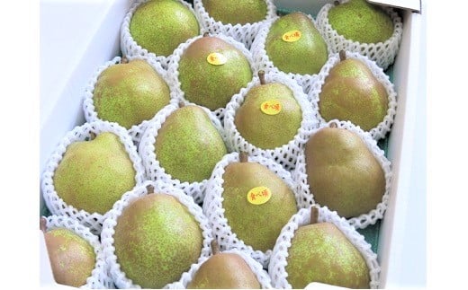 【ふるさと納税】 西洋梨 ( ラ・フランス ) 5kg 中玉～大玉 20～10玉 果物 フルーツ 洋なし 産地直送 山形 お取り寄せ 送料無料 山形県 上山市 0075-2509 サムネイル2