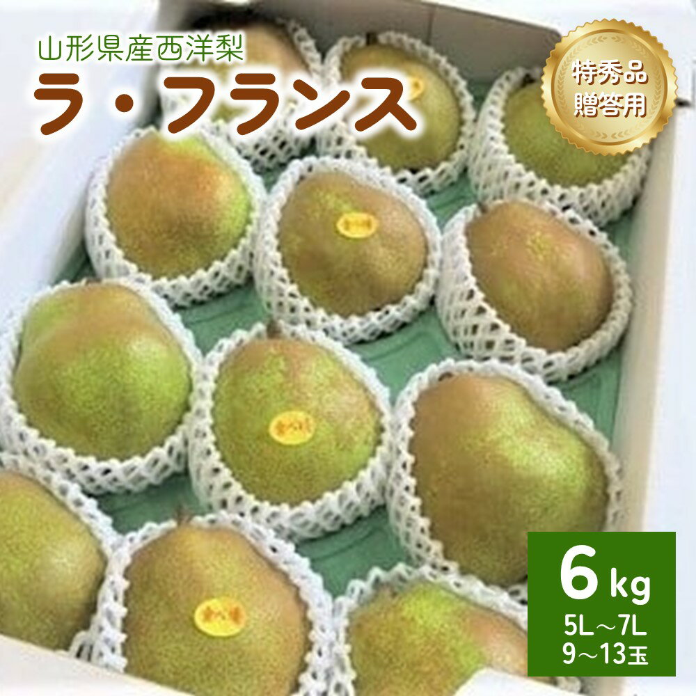 西洋梨 (ラ・フランス) 6kg 特秀品 贈答用 13～9玉 果物 フルーツ 産地直送 山形 洋なし ギフト プレゼント 贈り物 お取り寄せ 送料無料 山形県 上山市 0075-2510