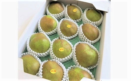 【ふるさと納税】 西洋梨 (ラ・フランス) 6kg 特秀品 贈答用 13～9玉 果物 フルーツ 産地直送 山形 洋なし ギフト プレゼント 贈り物 お取り寄せ 送料無料 山形県 上山市 0075-2510 サムネイル2