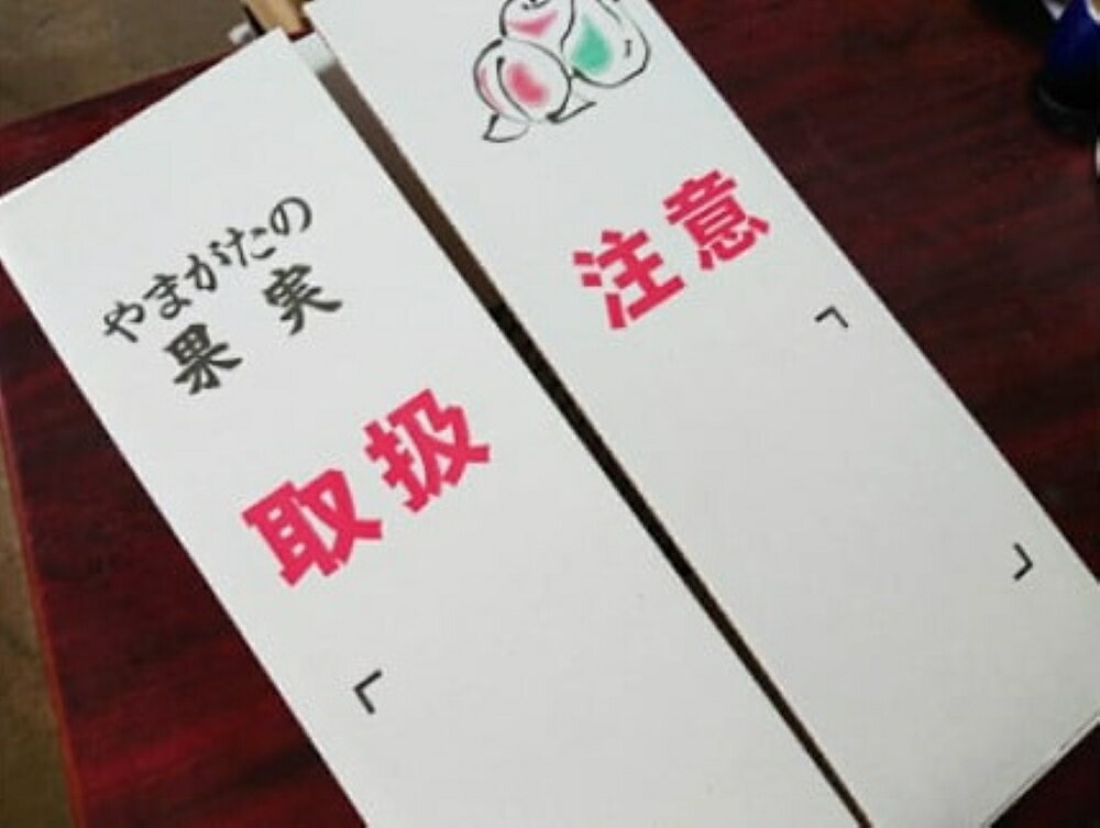 【ふるさと納税】【2026年1月から発送】りんご ( 葉とらず サンふじ ) 3kg ご家庭用 6～15玉 果物 フルーツ 産地直送 山形 お取り寄せ 送料無料 山形県 上山市 0075-2514 サムネイル3