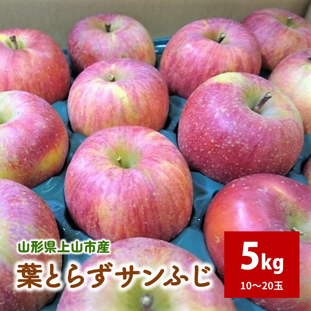 【2026年1月から発送】りんご（葉とらずサンふじ） 5kg ご家庭用 フルーツ 山形県 上山市 0075-2515