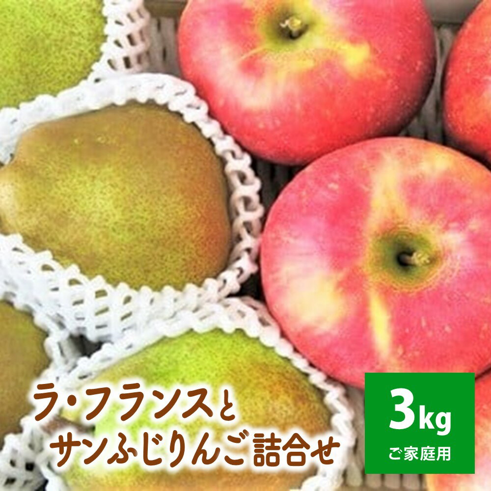 【2026年1月から発送】ラ・フランス と サンふじ りんご 詰合せ 3kg ご家庭用 葉とらず 果物 フルーツ 産地直送 山形 お取り寄せ 送料無料 山形県 上山市 0075-2512