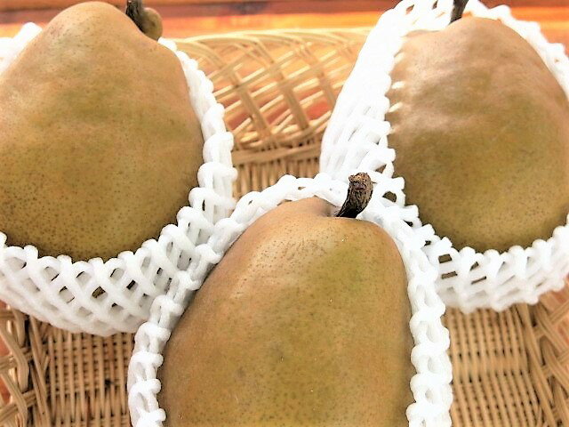 【ふるさと納税】 西洋梨 （ ラ・フランス または ゴールドラ・フランス ）3.5kg ご家庭用 6～12玉 7L～L サイズ 果物 フルーツ 洋なし 産地直送 山形 お取り寄せ 送料無料 山形県 上山市 0075-2607 - 画像3