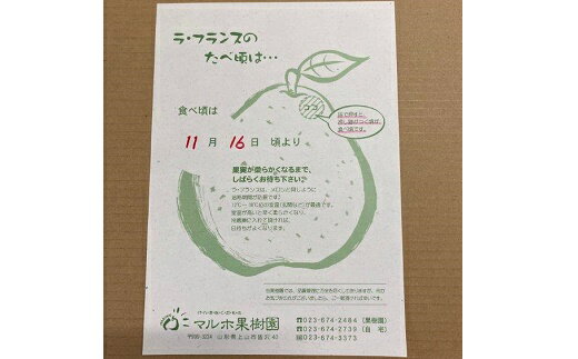 【ふるさと納税】西洋梨 ラ・フランス 6kg ご家庭用 3kg × 2箱 果物 フルーツ 洋なし お取り寄せ 山形 産地直送 送料無料 山形県 上山市 0078-2507 サムネイル3