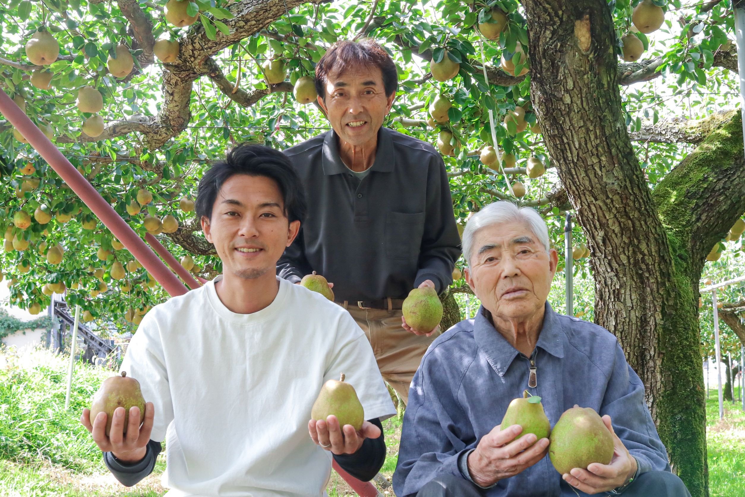 【ふるさと納税】西洋梨（ラ・フランス）3.4kg ご家庭用 山形県 上山市 0078-2505 サムネイル2