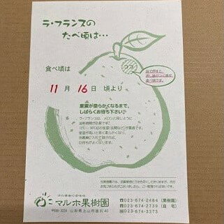 【ふるさと納税】西洋梨 ラ・フランス 3kg ご家庭用 7～10玉 2L～5L サイズ 果物 フルーツ 洋なし お取り寄せ 山形 産地直送 送料無料 山形県 上山市 0078-2502 サムネイル3
