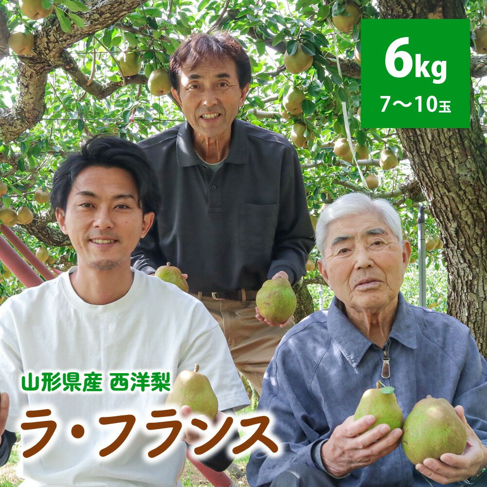 西洋梨 ラ・フランス 6kg ご家庭用 3kg × 2箱 果物 フルーツ 洋なし お取り寄せ 山形 産地直送 送料無料 山形県 上山市 0078-2507