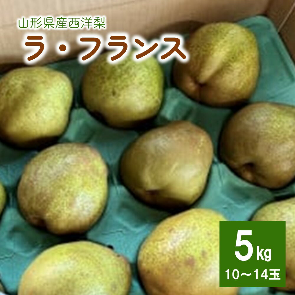 西洋梨 ラ・フランス 5kg 10~14玉 6L～4L サイズ 秀品 果物 フルーツ 産地直送 山形 お取り寄せ 送料無料 山形県 上山市 0079-2517