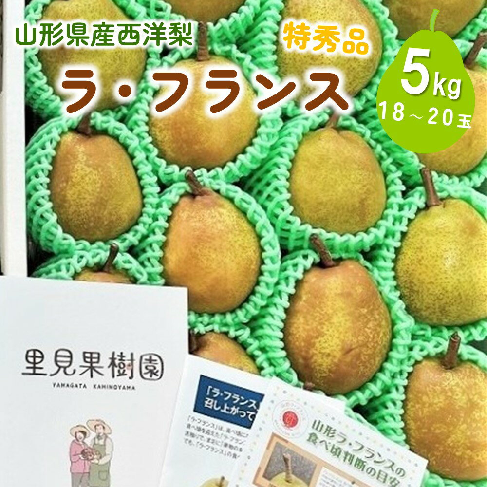 西洋梨 ラ・フランス 5kg 18~20玉 特秀品 果物 フルーツ 産地直送 山形 お取り寄せ 送料無料 山形県 上山市 0079-2518
